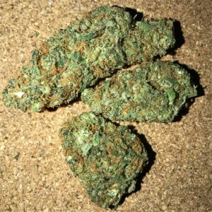 Buy Bubble Gum Online