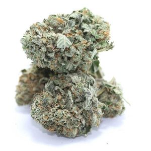 $100 OG