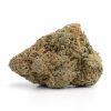 Chocolope Strain