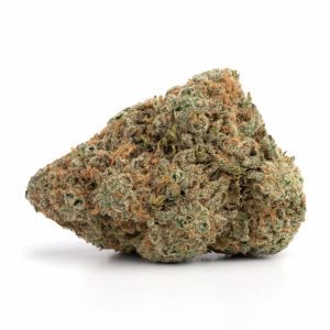 Chocolope Strain