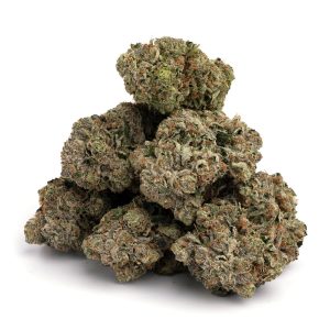 G13
