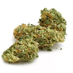 buy Hindu Kush