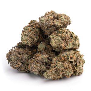 Purple Haze Strain