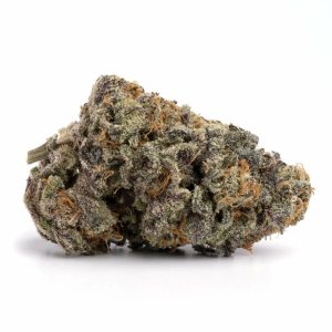 Buy Purple Urkle Strain
