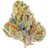 Buy Death Star Strain Online