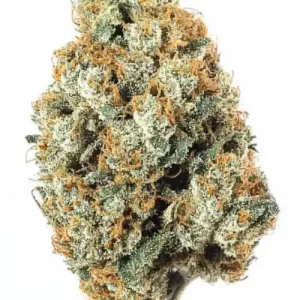 Buy NYC Diesel weed strain